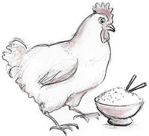 Hen and bowl of rice.